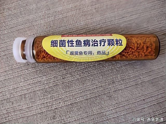 做龍魚檢疫需要多長時間：新魚到家檢疫隔離全攻略