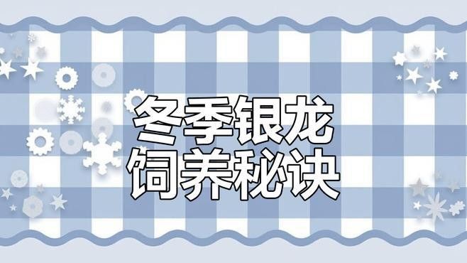 恐龍魚吃凍干飼料嗎？：恐龍魚可以食用凍干飼料但需注意以下要點：05:3200