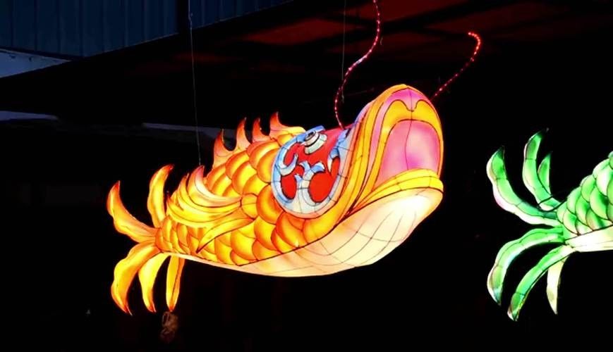 金龍魚燈光需要24小時開嗎？：——龍魚燈光的使用方法 金龍魚燈光需要24小時開嗎？：——龍魚燈光的使用方法 龍魚百科 第6張