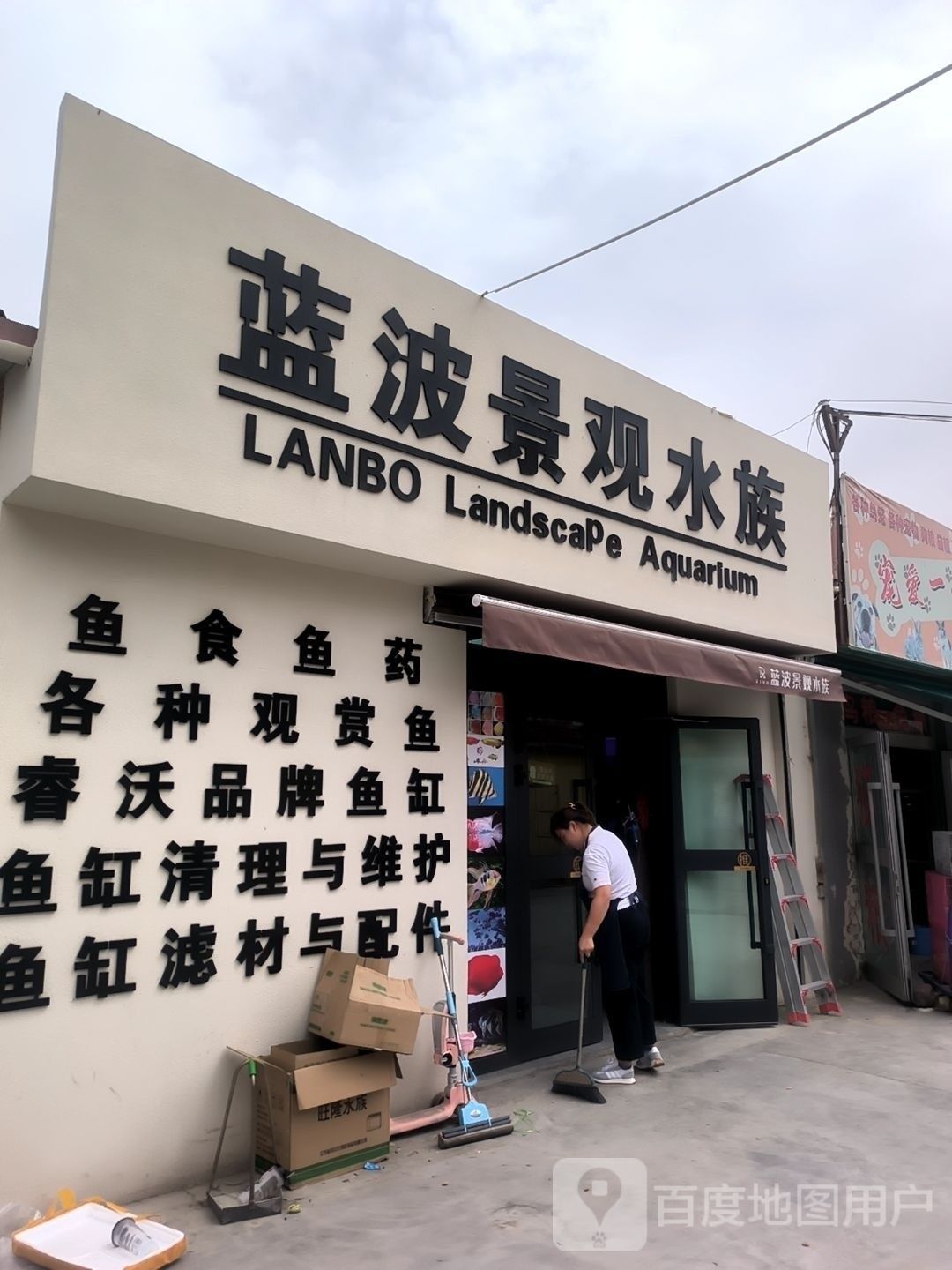 海西哪個水族館龍魚好？祥龍魚場龍魚：哪家水族館的龍魚品種最齊全？ 海西哪個水族館龍魚好？祥龍魚場龍魚：哪家水族館的龍魚品種最齊全？ 龍魚百科 第1張