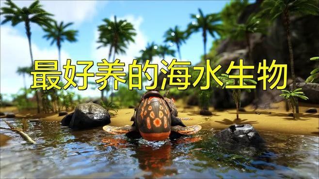 有哪些耐低鹽度的海水魚？：五種超平價海水魚，適合新手養殖,新手必看!