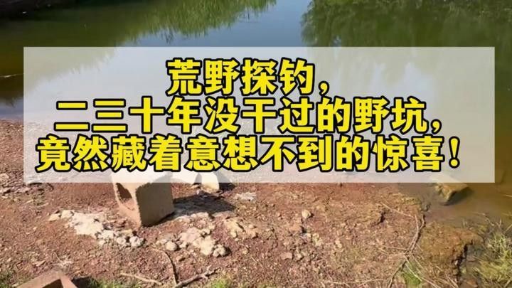 哪種小紅魚(yú)更適合喂龍魚(yú)：紅劍魚(yú)：作為活體飼料，紅劍魚(yú)能激發(fā)龍魚(yú)的捕食本能 哪種小紅魚(yú)更適合喂龍魚(yú)：紅劍魚(yú)：作為活體飼料，紅劍魚(yú)能激發(fā)龍魚(yú)的捕食本能 龍魚(yú)百科 第3張