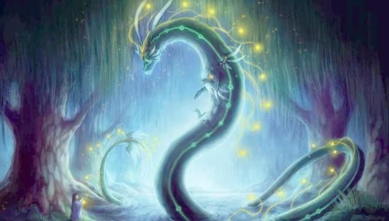 哪個龍魚市場的口碑最好：廣州龍魚祥龍魚場