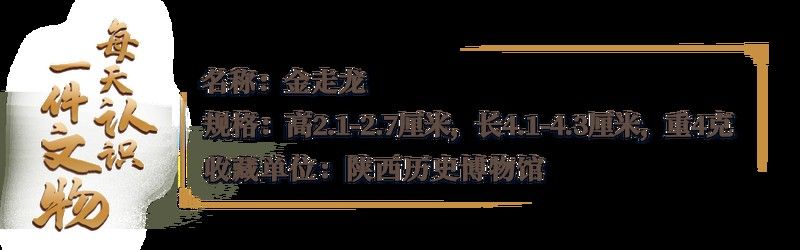 有沒有高清版金龍圖案素材？：關于高清金龍圖案素材的商用授權費用是多少