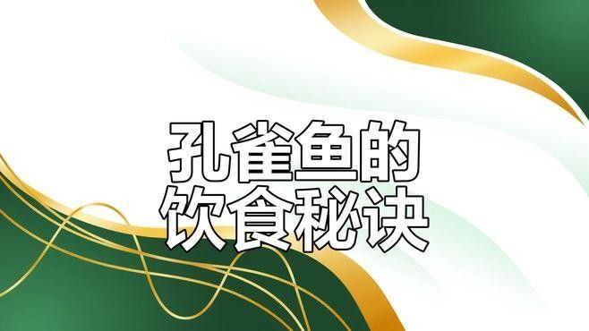孔雀龍魚成魚吃什么食物最好：孔雀龍魚的喂養方法