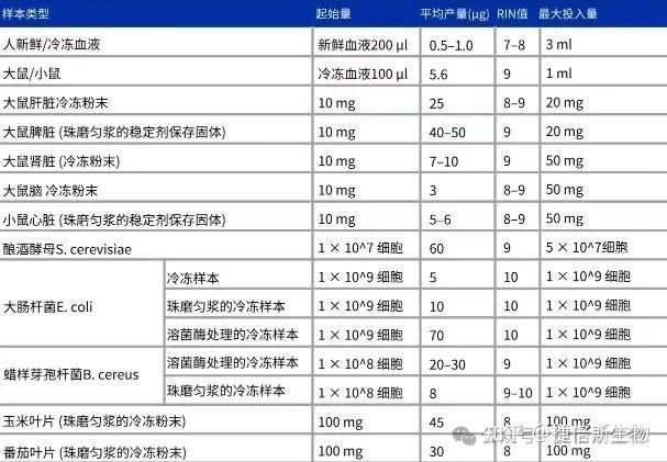 提純過程中有哪些常見誤區(qū)？：捷倍斯生物