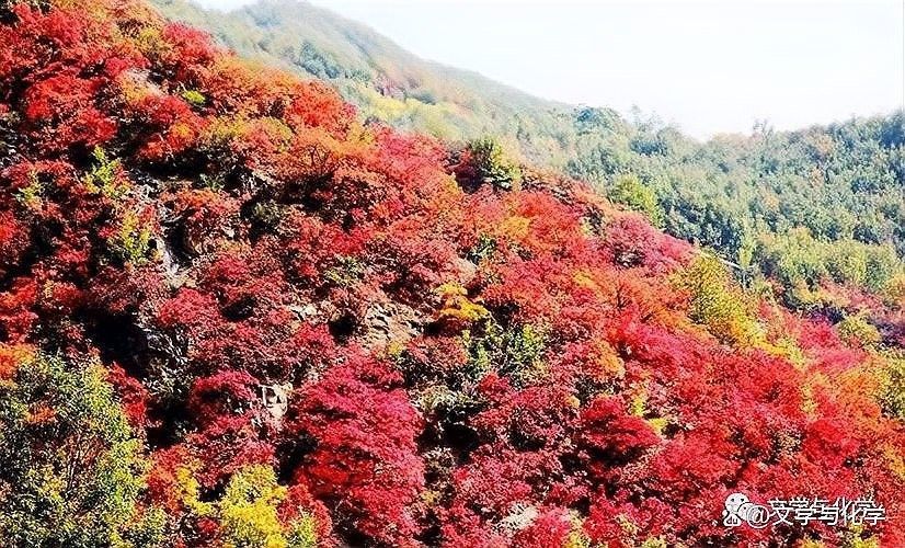 提純過程中有哪些常見誤區(qū)？：捷倍斯生物