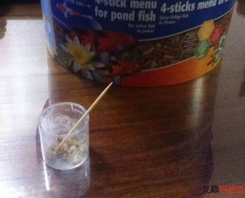 龍魚(yú)爛嘴病會(huì)傳染嗎？：龍魚(yú)爛嘴病怎么辦 龍魚(yú)爛嘴病會(huì)傳染嗎？：龍魚(yú)爛嘴病怎么辦 龍魚(yú)百科 第8張