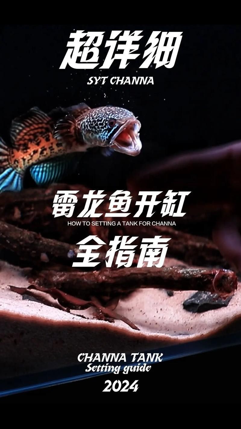 雷龍魚(yú)趴缸怎么辦：為什么訓(xùn)好的雷龍突然又趴缸了