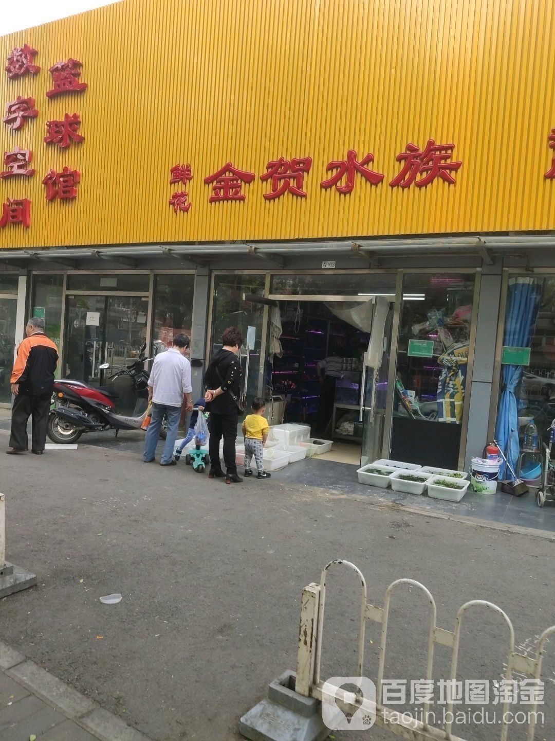 北京還有哪些水族市場？：兄弟水族(東潞苑農貿市場店)5.0