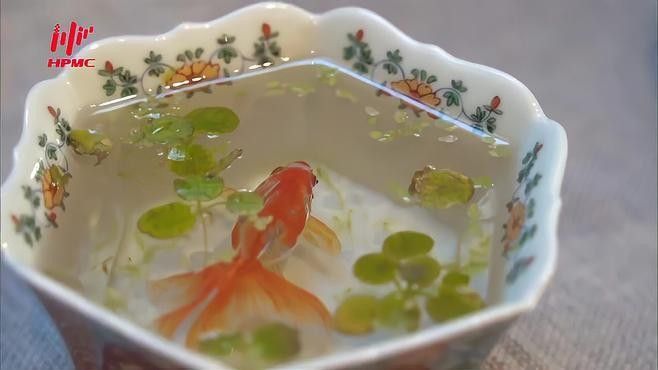 魚躍龍門在現代有什么象征意義？：“魚躍龍門”作為中國傳統文化中的經典意象在現代社會被賦予更豐富的象征意義