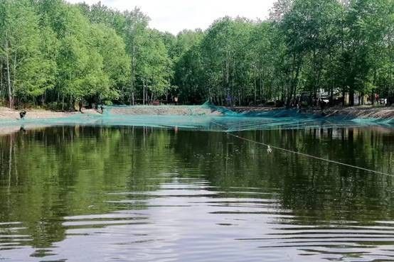 盤古林場冷水魚養(yǎng)殖基地聯(lián)系方式：<strong><mark>塔河</mark></strong>林業(yè)局盤古林場冷水魚養(yǎng)殖基地的聯(lián)系方式是什么
