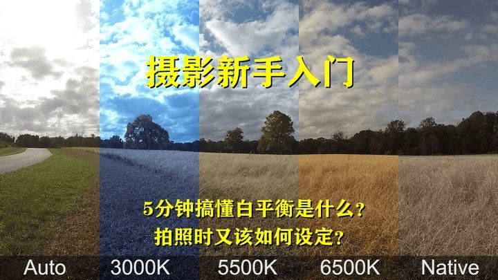 如何選擇合適的白平衡模式：攝影基礎教程:攝影基礎教程:白平衡怎么設置白平衡