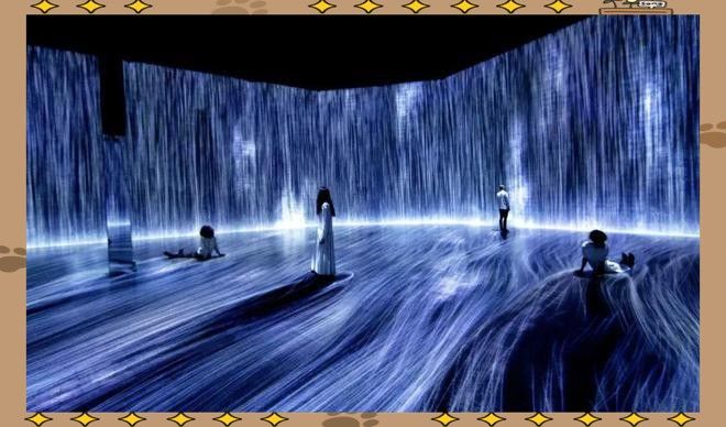 上海體驗館的收費標(biāo)準(zhǔn)：上海體驗館收費標(biāo)準(zhǔn)匯總 上海體驗館的收費標(biāo)準(zhǔn)：上海體驗館收費標(biāo)準(zhǔn)匯總 龍魚百科 第5張