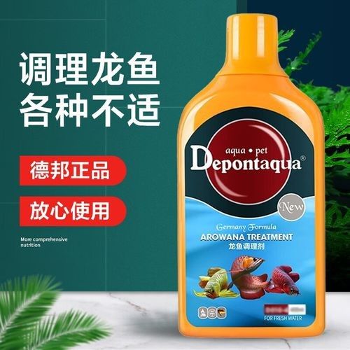龍魚嘴破后如何護理？：雷龍魚嘴巴潰爛了怎么辦陳摯品怎么治療中科藍魚