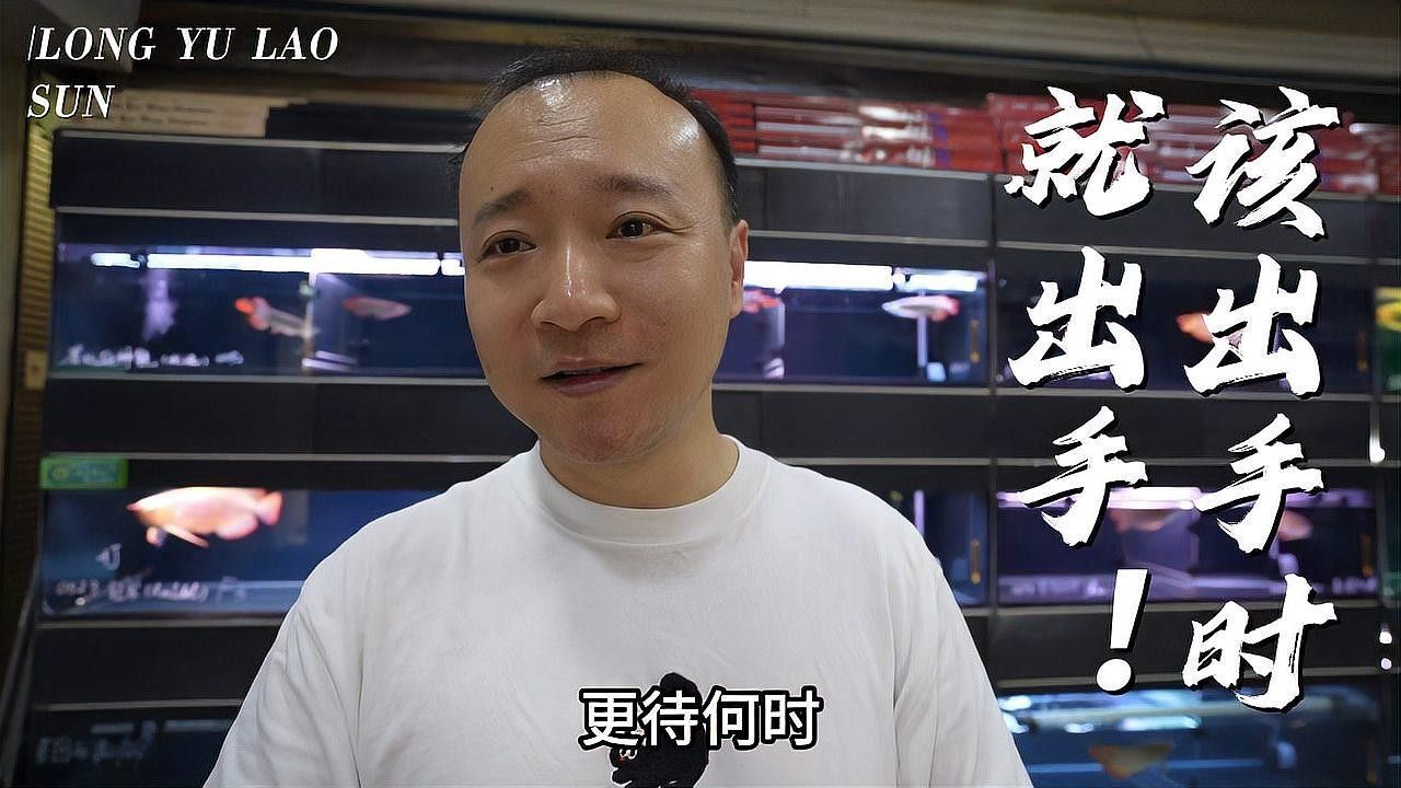 <strong><mark>北京</mark></strong>和興龍魚貿易的歷史背景：<strong><mark>北京</mark></strong>和興龍魚貿易有限公司價格調整
