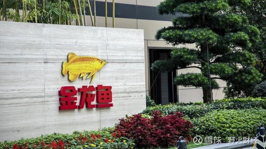 如何聯系金龍魚牡丹江分銷點?:金龍魚牡丹江分銷點怎么辦? 龍魚百科 第7張 如何聯系金龍魚牡丹江分銷點?:金龍魚牡丹江分銷點怎么辦? 如何聯系金龍魚牡丹江分銷點?:金龍魚牡丹江分銷點怎么辦? 龍魚百科 第7張