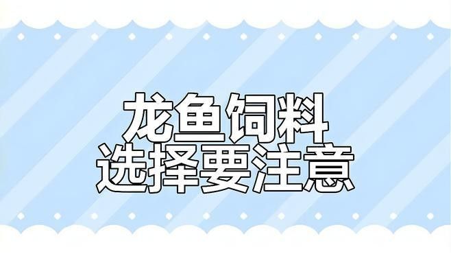 龍魚吃草金魚會得什么病：養草金魚總養不活別忽略這3樣東西,很多人第2樣天天在犯萌寵
