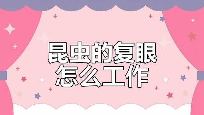 復眼動物如何導航：偏振光導航技術的原理是什么 復眼動物如何導航：偏振光導航技術的原理是什么 龍魚百科 第3張