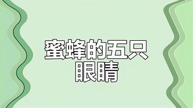復眼動物如何導航：偏振光導航技術的原理是什么 復眼動物如何導航：偏振光導航技術的原理是什么 龍魚百科 第1張