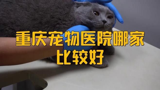 龍魚醫生營業時間是：北京寵物醫院哪家好