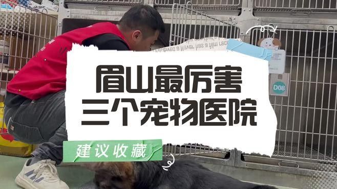 龍魚醫生營業時間是：北京寵物醫院哪家好