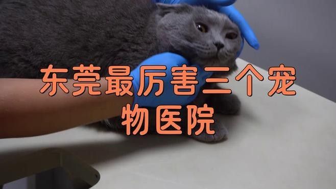 龍魚醫生營業時間是：北京寵物醫院哪家好