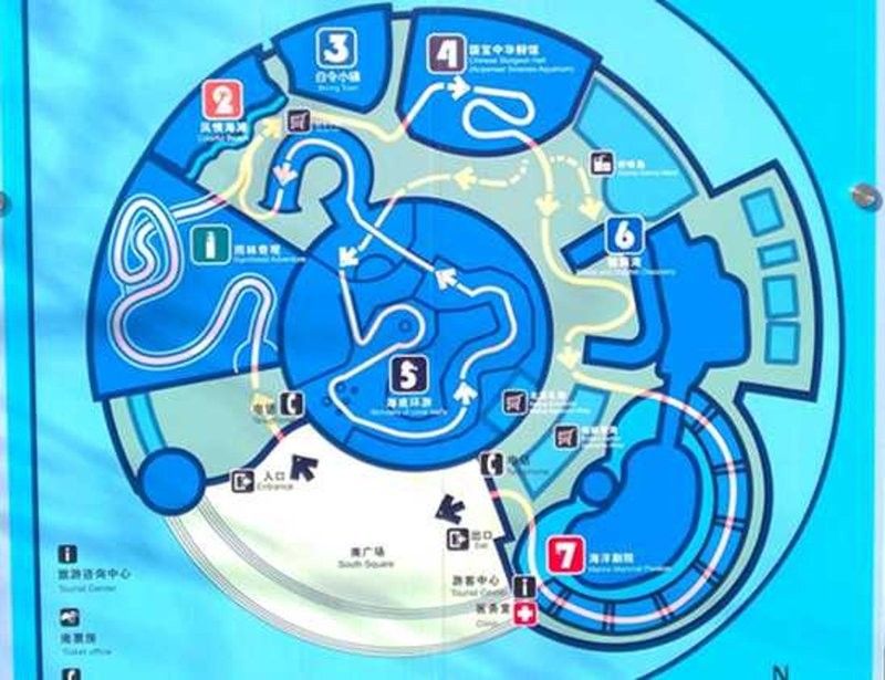 丘北哪個水族館龍魚好？祥龍魚場龍魚：丘北地區的水族館及龍魚養殖場 丘北哪個水族館龍魚好？祥龍魚場龍魚：丘北地區的水族館及龍魚養殖場 龍魚百科 第10張