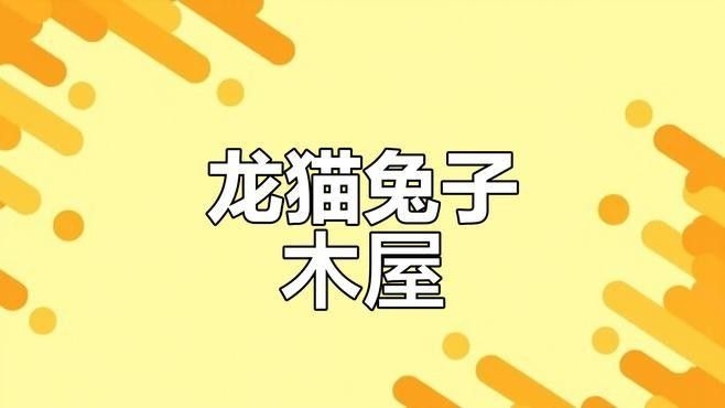 龍貓散養需要多大的空間：呼倫貝爾大草原的貓咪們,龍貓應該怎么養