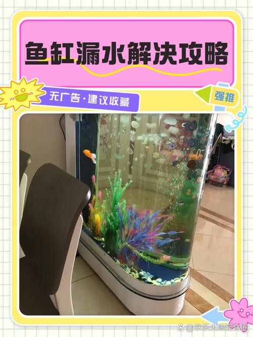 如何預(yù)防凱龍魚缸漏水？：凱龍魚缸漏水怎么辦教你輕松應(yīng)對凱龍魚缸漏水風(fēng)險(xiǎn) 如何預(yù)防凱龍魚缸漏水？：凱龍魚缸漏水怎么辦教你輕松應(yīng)對凱龍魚缸漏水風(fēng)險(xiǎn) 龍魚百科 第9張