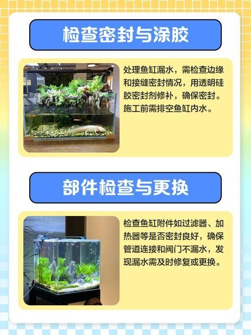 如何預(yù)防凱龍魚缸漏水？：凱龍魚缸漏水怎么辦教你輕松應(yīng)對凱龍魚缸漏水風(fēng)險(xiǎn) 如何預(yù)防凱龍魚缸漏水？：凱龍魚缸漏水怎么辦教你輕松應(yīng)對凱龍魚缸漏水風(fēng)險(xiǎn) 龍魚百科 第13張