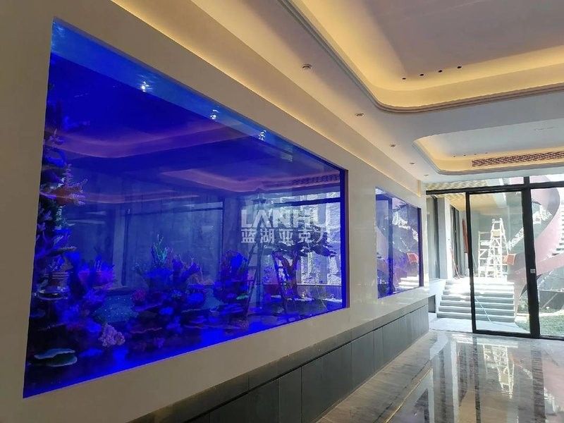 如何預(yù)防凱龍魚缸漏水？：凱龍魚缸漏水怎么辦教你輕松應(yīng)對凱龍魚缸漏水風(fēng)險(xiǎn) 如何預(yù)防凱龍魚缸漏水？：凱龍魚缸漏水怎么辦教你輕松應(yīng)對凱龍魚缸漏水風(fēng)險(xiǎn) 龍魚百科 第14張
