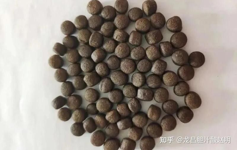 過期的古龍魚飼料如何處理：過期的古龍魚飼料怎么處理