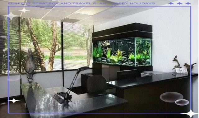 如何設置魚缸中的躲避區域：自制魚缸躲避屋