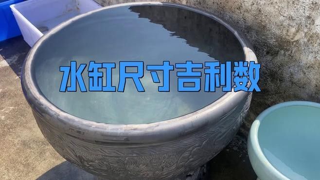 曼龍魚缸最佳造景尺寸：曼龍魚缸最佳造景尺寸需綜合考慮魚體大小、活動(dòng)空間及造景需求