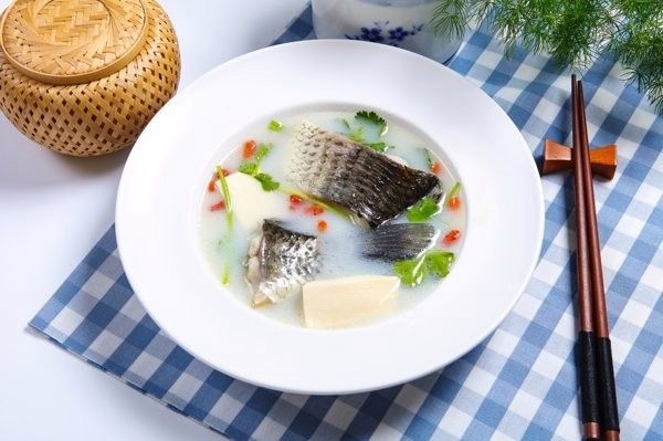 龍魚身上白點多久會消失：魚身上長白點怎么辦 龍魚身上白點多久會消失：魚身上長白點怎么辦 龍魚百科 第6張