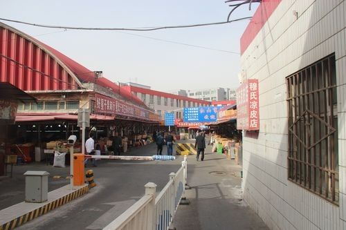 如何聯系到阿克蘇火龍魚批發城負責人：關于阿克蘇火龍魚批發城的公告