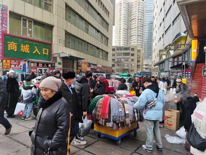 金龍魚怎么分公母，如何分公母，金龍魚和金龍魚怎么分公母和金龍魚的區(qū)別