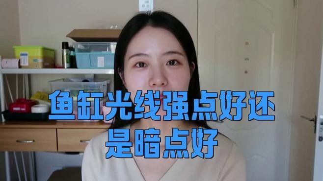 如何給雷龍魚提供適當的光照？：雷龍魚養護指南