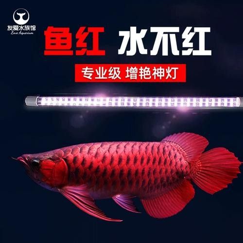 龍魚燈具的價格范圍:龍魚專用燈的價格范圍