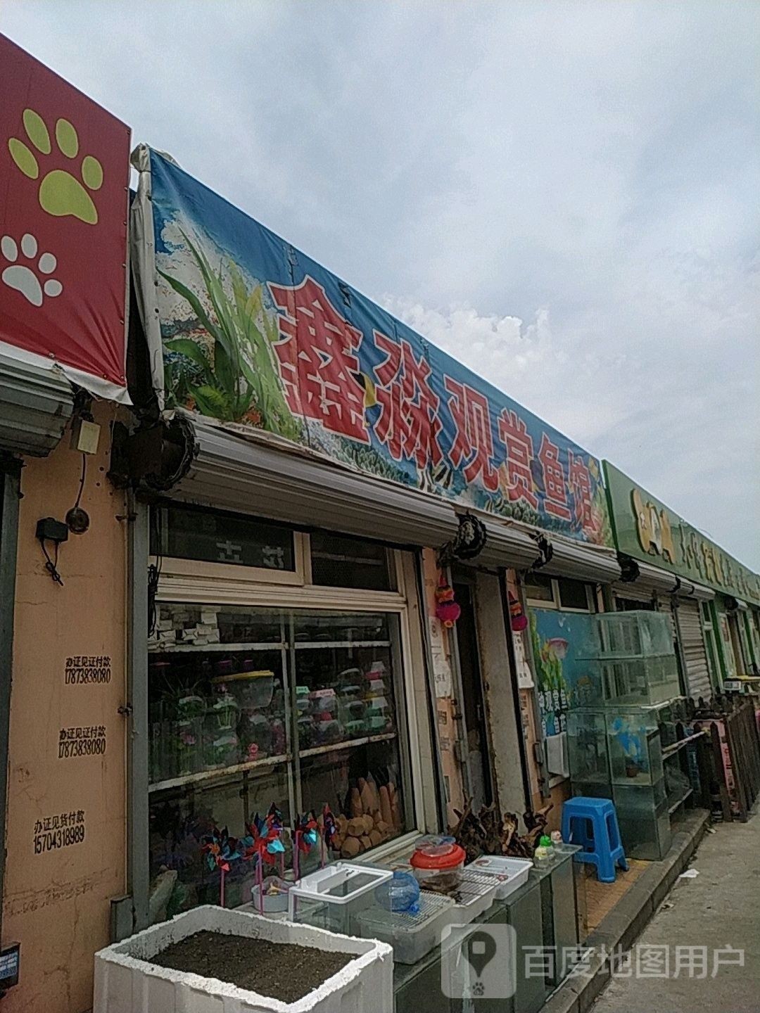 雞冠哪個水族館龍魚好？祥龍魚場龍魚：雞<strong><mark>西市</mark></strong>雞冠區祥龍魚場專業對比推薦：鑫淼觀賞魚館