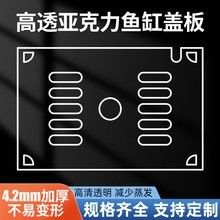推薦幾款適合鬼王雷龍的魚缸蓋：雷龍魚缸蓋選擇指南，避免跳缸悲劇!