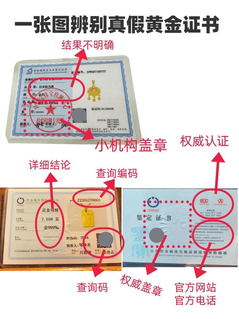 如何辨別黑金剛過背金龍的品質：帝龍阿輝