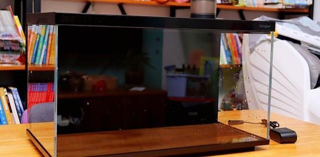 森森和億得勝哪個更好？：森森和億得勝作為水族器材的兩個品牌各有側重優勢