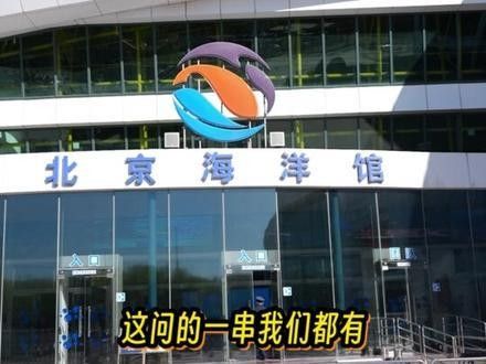 靈山哪個水族館龍魚好？祥龍魚場龍魚：馬來西亞祥龍魚場