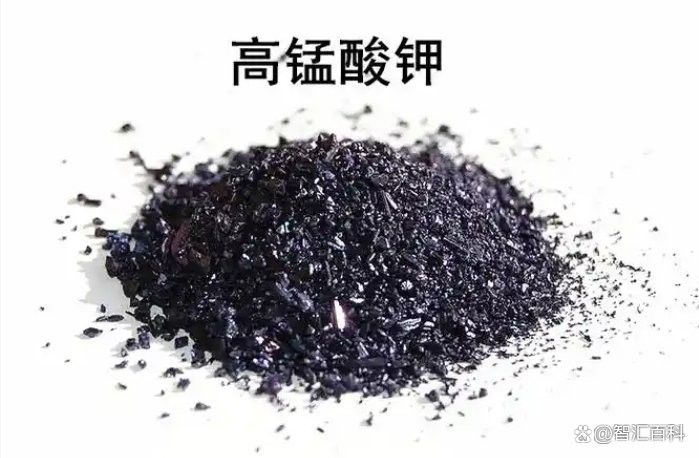 高錳酸鉀對龍魚有副作用嗎？：高錳酸鉀對龍魚有害嗎 高錳酸鉀對龍魚有副作用嗎？：高錳酸鉀對龍魚有害嗎 龍魚百科 第4張