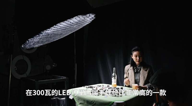 金龍魚攝影作品有哪些風格：金龍魚攝影作品全解析