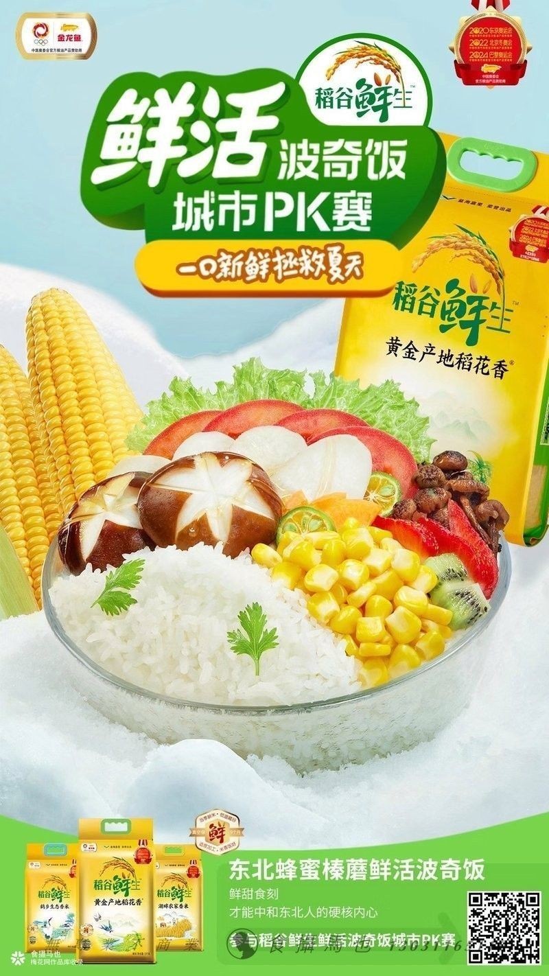 金龍魚攝影作品有哪些風格：金龍魚攝影作品全解析