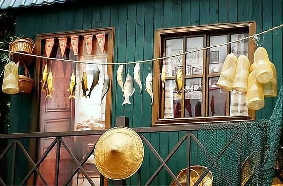 金龍魚攝影作品有哪些風格：金龍魚攝影作品全解析