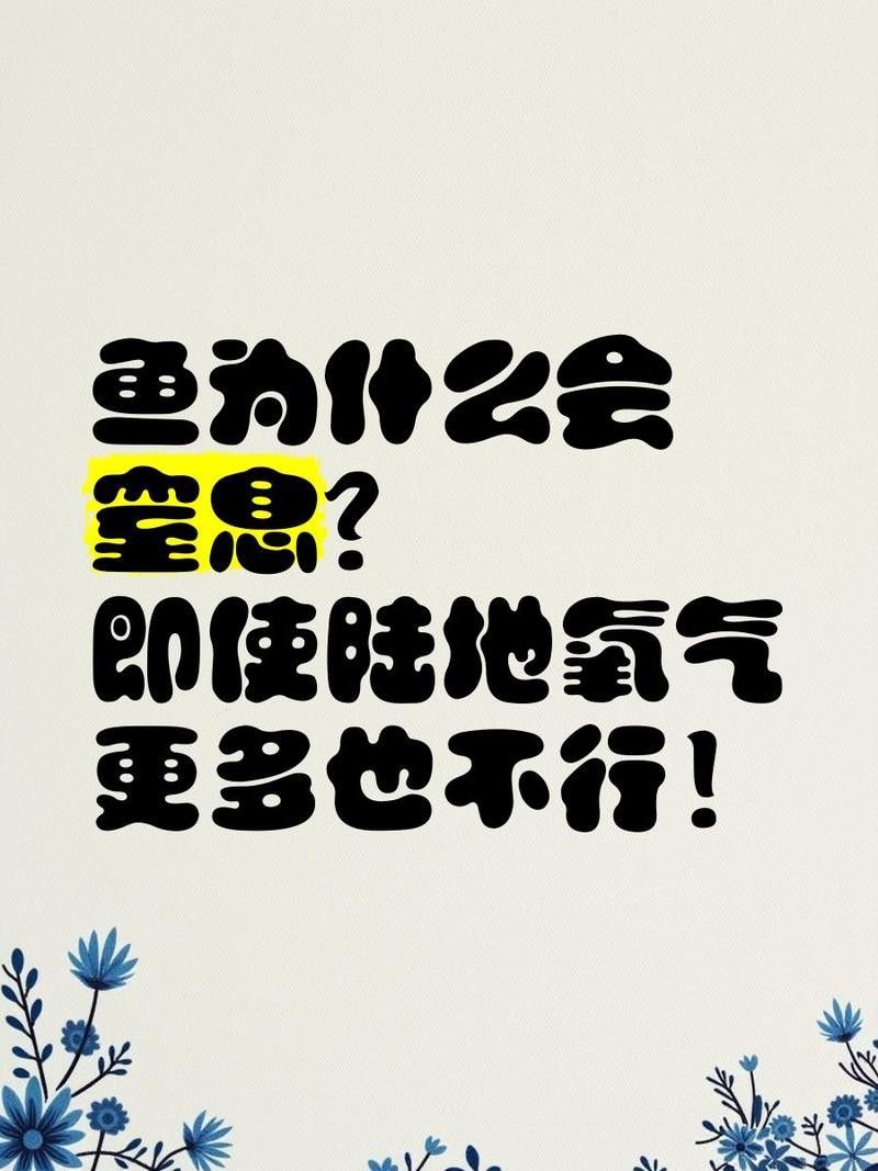 雷龍魚鉆沙子里會窒息嗎：雷龍魚呼吸機制和鉆沙行為需結(jié)合以下特點分析